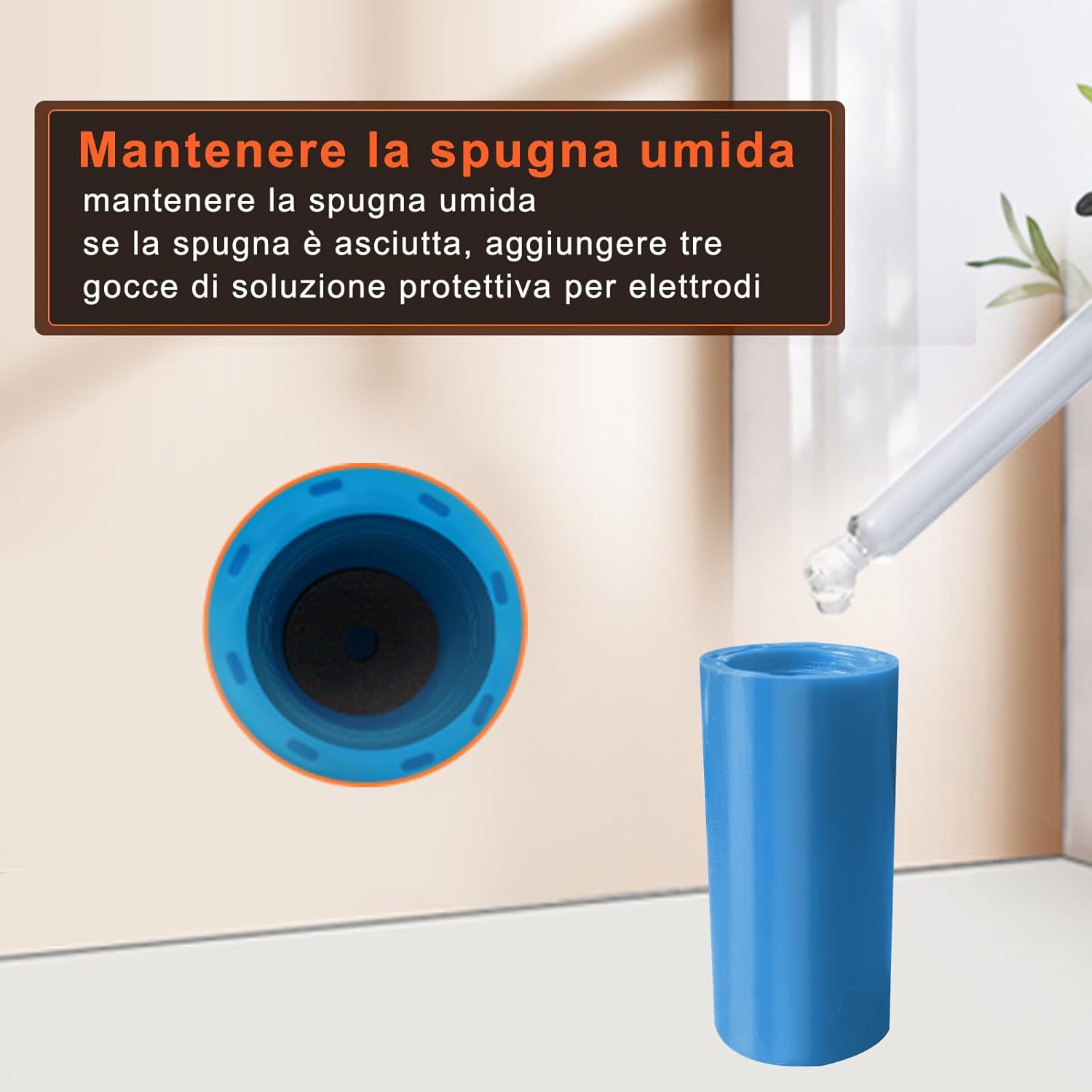 Protective cap with moist sponge and dropper for electrode solution