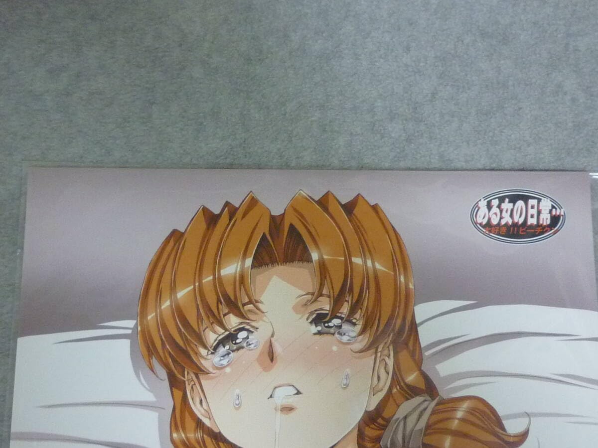 Amazon.co.jp: コミケ104 C104 大好きビーチクン うるし原智志 ポスター ある女の日常 A3ポスター5枚セット D : おもちゃ