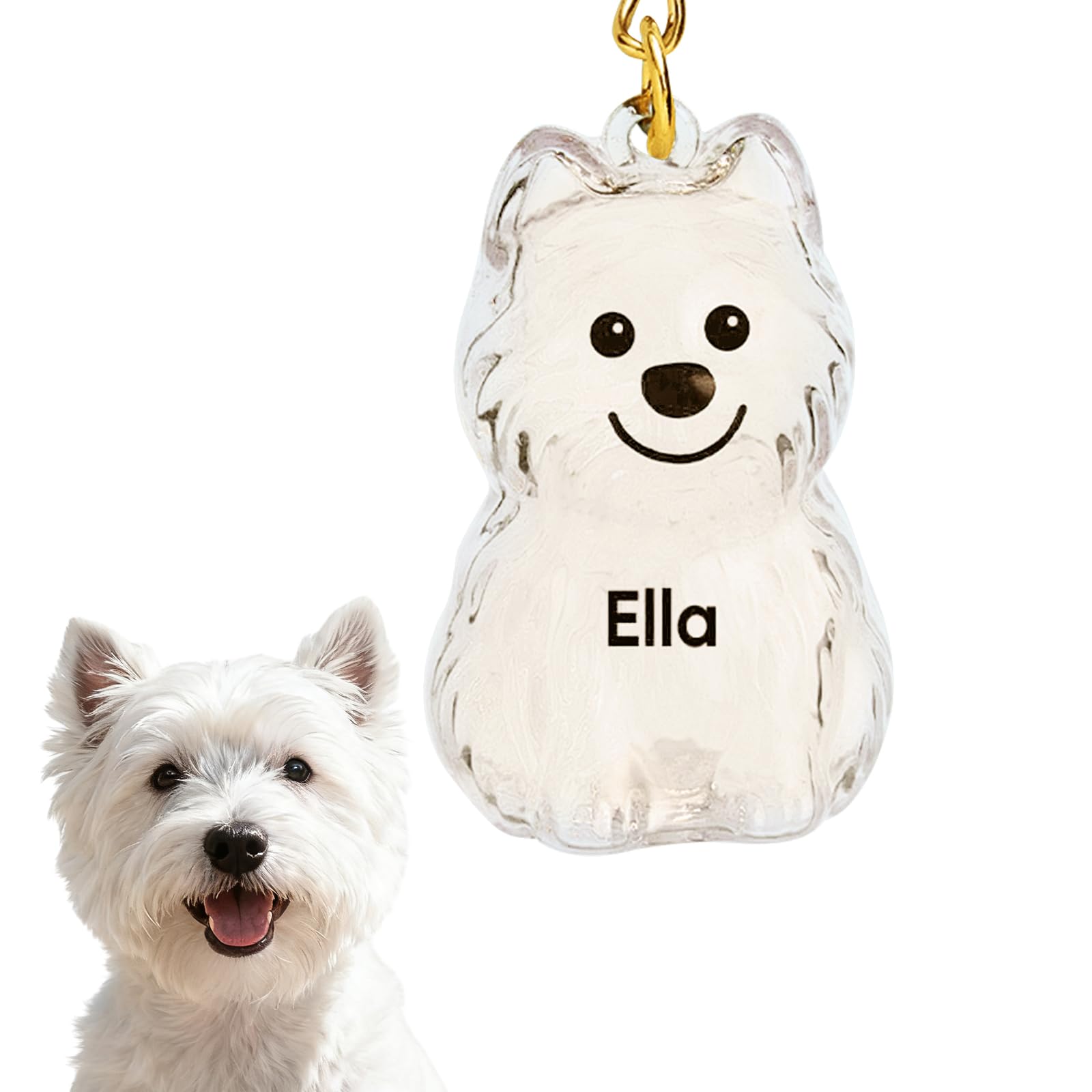VEELU Dog Hair Collector Keychain Charm Memorial Storage Box - Custom Dog Hair Keychain with Name - Personalised Pet Fur Keepsake - Customised Dog Memorial Gifts for Loss of Dog
