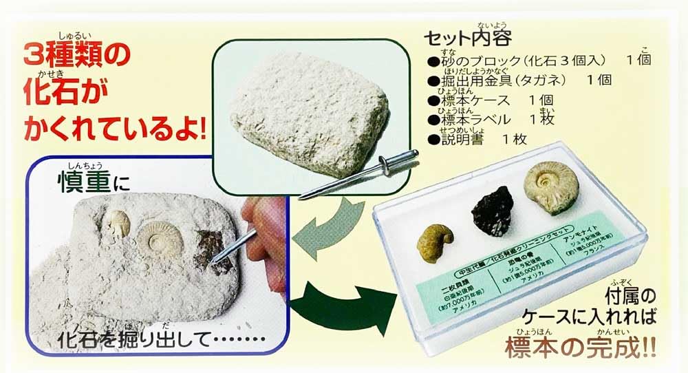 Amazon | TOKYO SCIENCE 実験・体験シリーズ 「renew 化石発掘