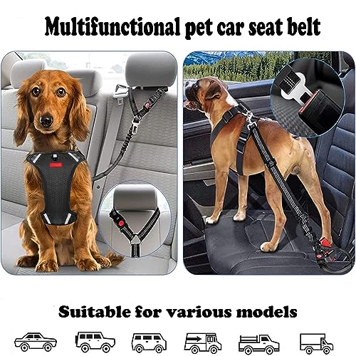 CEASELESLY 2 Stück Hund Kofferraum anschnallen,Hundeanschnaller fürs Auto,Reise & Transport für Hunde,mit Elastischer Ruckdämpfung und Starke Karabiner für alle Hunderassen Katzen