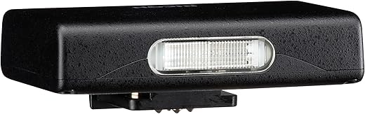 Ricoh GF-2 Compact Flash