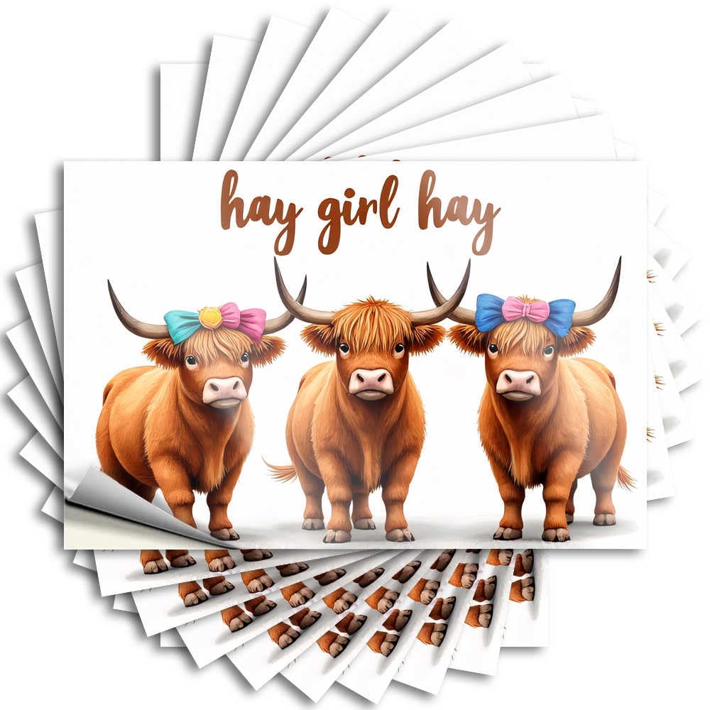 Backyard Bar Decor Case Decal - Three Highland Cows with Colorful Bows Crazy Durable Sticker Easy Apply for Billiards Decor(12X18CM)