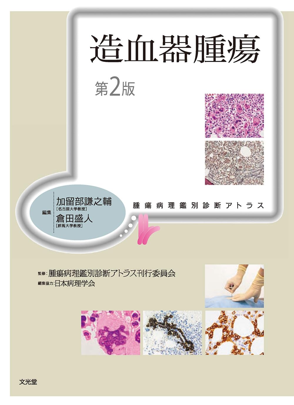 キャンベル整形外科手術書 第2巻 切断術/感染症/腫瘍 切断術、感染症、腫瘍(第2巻) キャンベル整形外科手術書第2巻 中古本