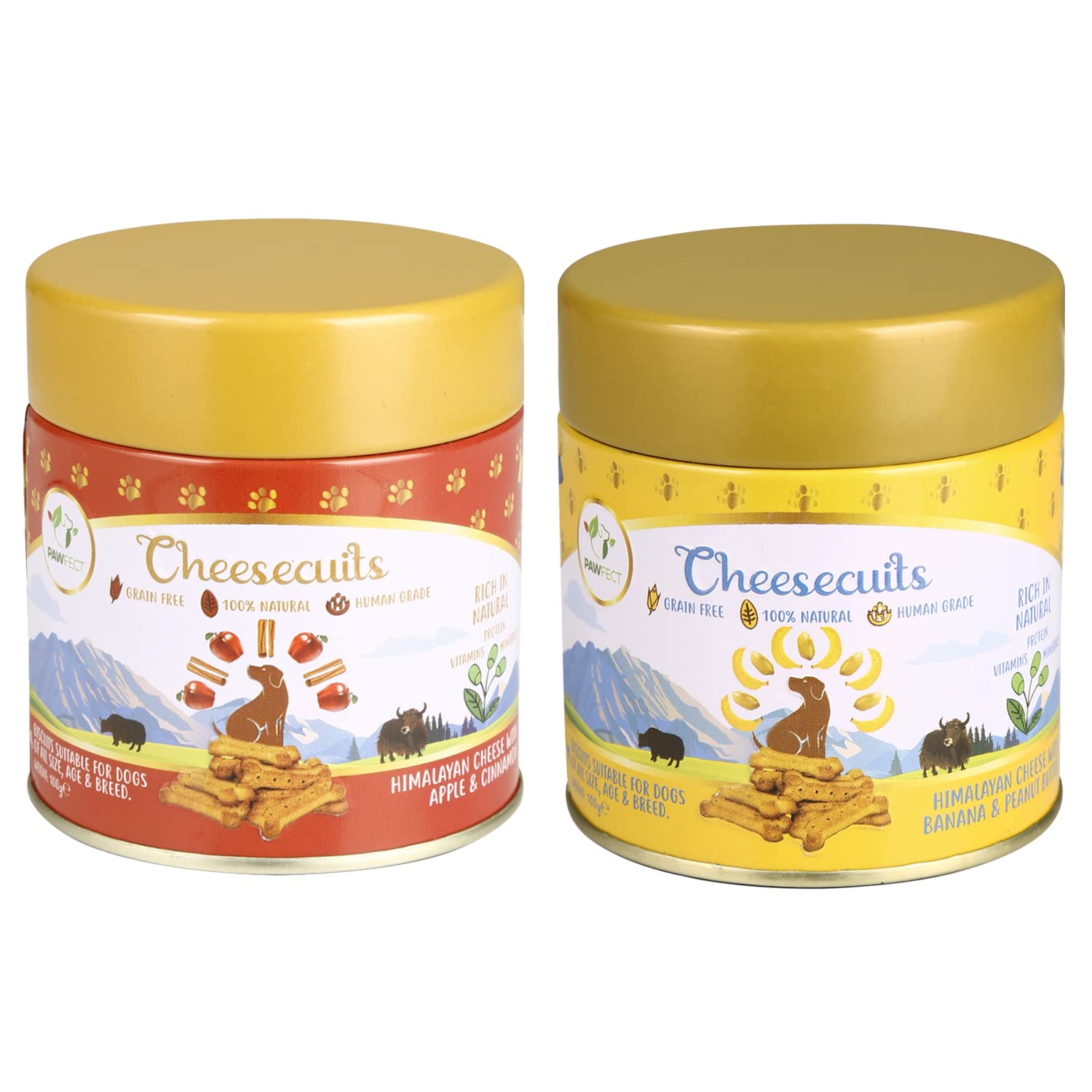 Pawfect- Himalayan Cheesecuits Biscuits for Dogs | Crunchy Treats for Adult and Puppy (Apple & Cinnamon + Pineapple & Coconut) - 100 Gram Each - Pack of 2 (B09STPMTGZ) Amazon Price History, Amazon Price Tracker