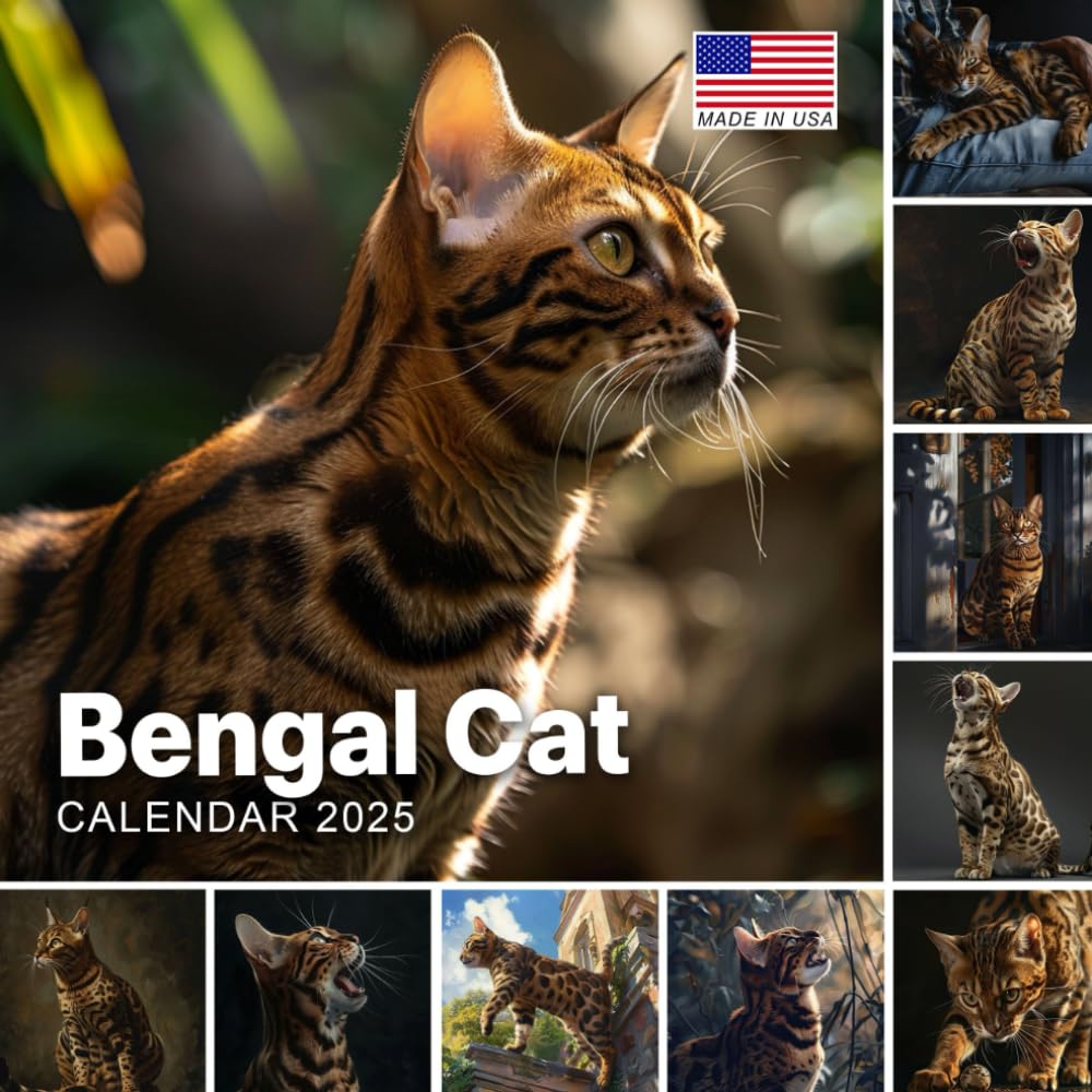 Bengal Cat Calendar 2025: 365 Days of Motivation, Includes Last 3 Months of 2024, Ideal for Bengal Cat, A One of a Kind Event Gift for Every Occasion, Yankee Swap, Seasonal Celebrations, Featuring
