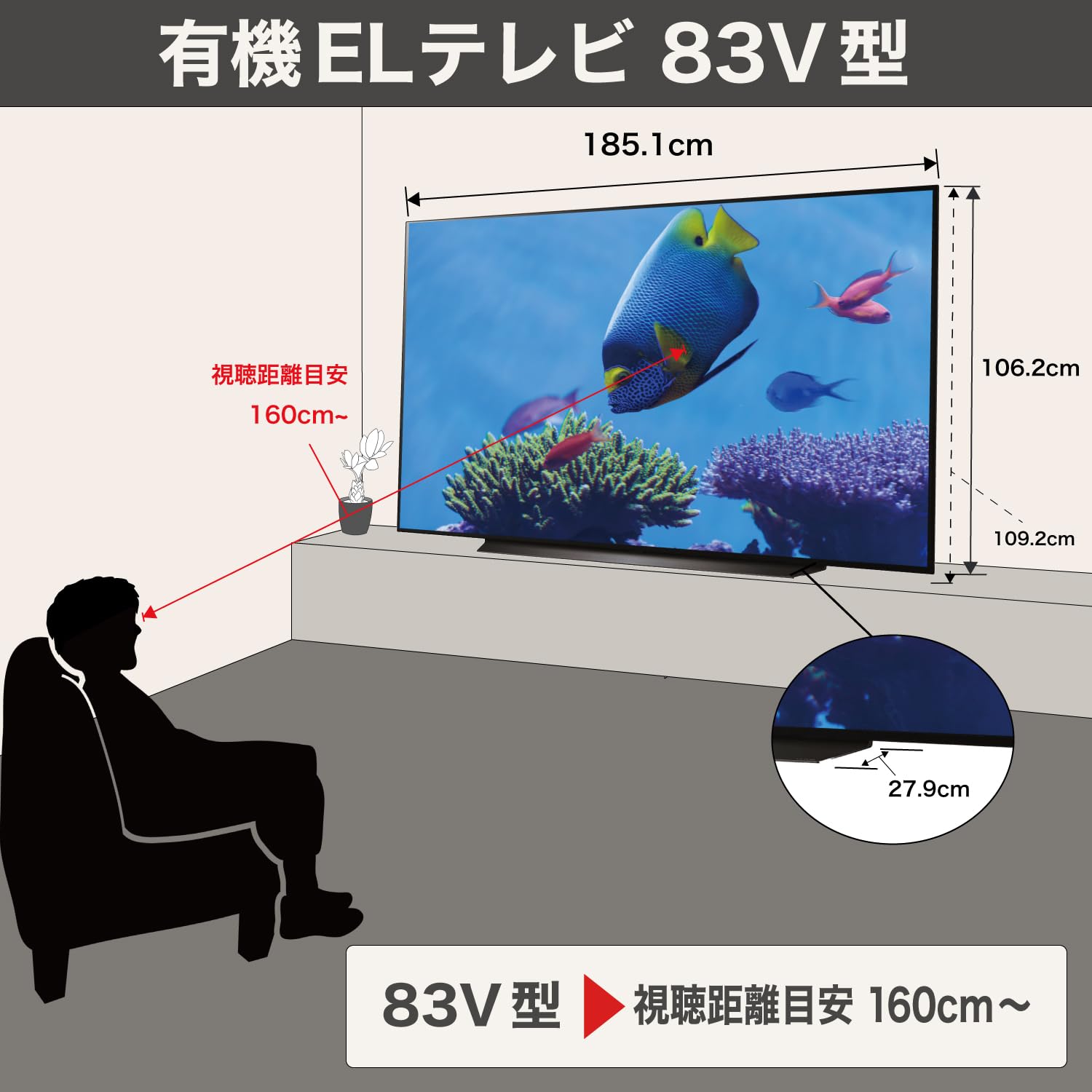 Amazon | LG 有機EL テレビ 83V型 4Kチューナー内蔵 OLED83C5PJA