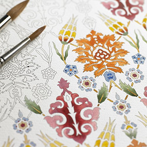 Turkish: Artists' Colouring Book (Multilingual Edition) #TOP1