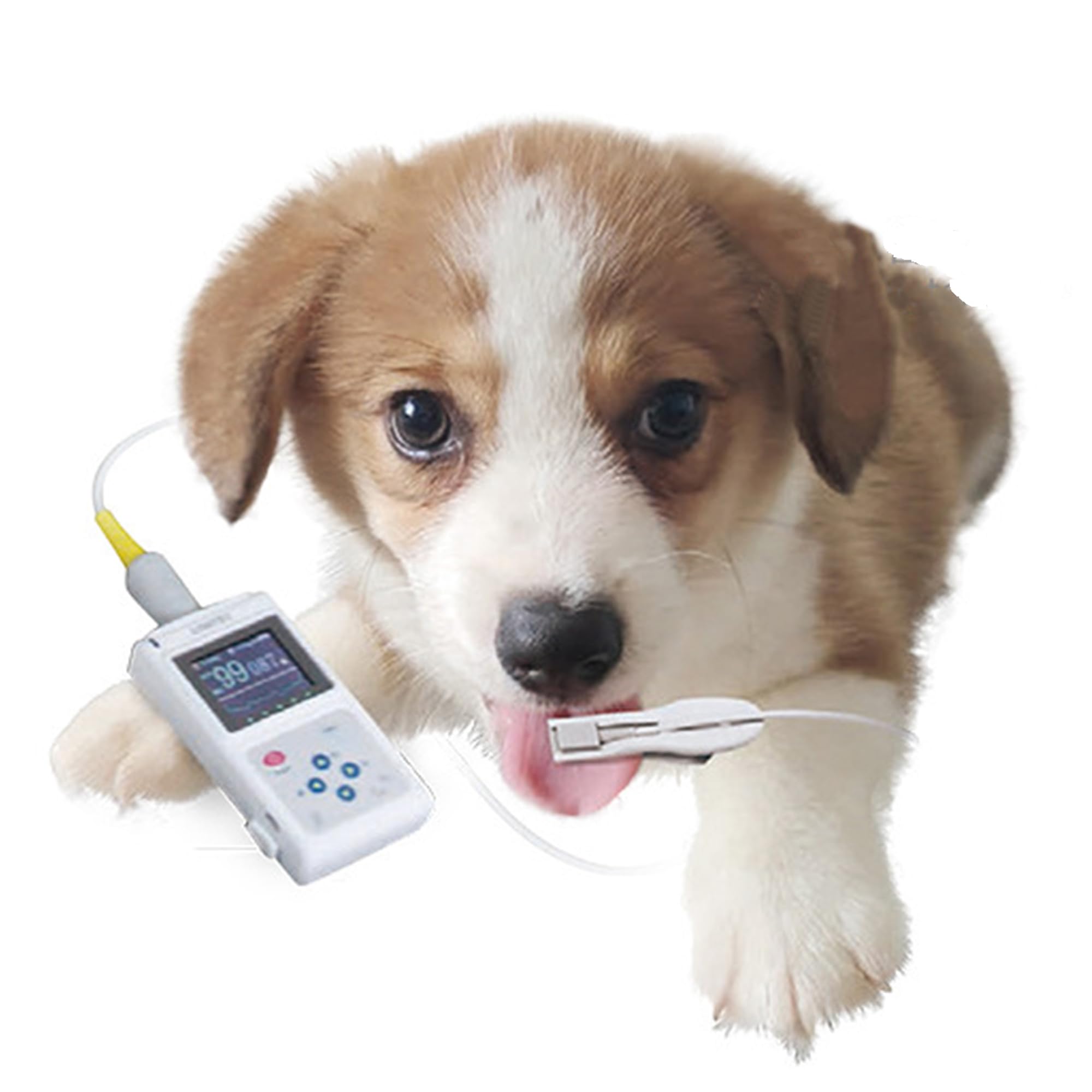Oxímetro De Pulso Veterinario De Mano - Monitor De Salud De Mascotas Recargable con Sensor De Orejas/Lengua, Medidor De Frecuencia De Pulso Digital para Perros, Gatos Y Animales