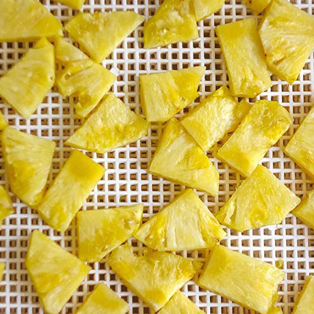 10 Pezzi Tappetino Forno Antiaderente Silicone, Rete per Essiccatore di Frutta, Fogli Disidratanti Silicone Antiaderente, per Essiccare Frutta, Cereali e Verdure (38,5 x 28,5 cm)