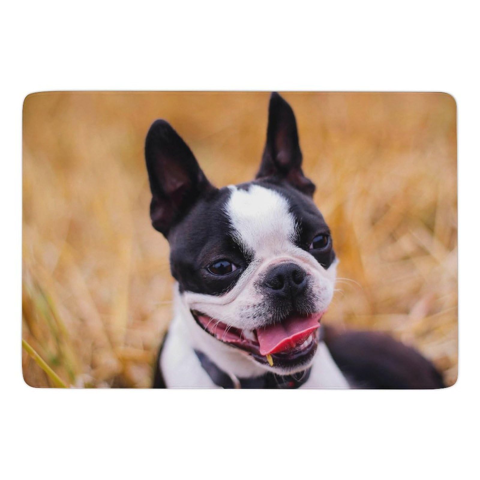 Tapis terrier de Boston antidérapant pour protéger les sols froids