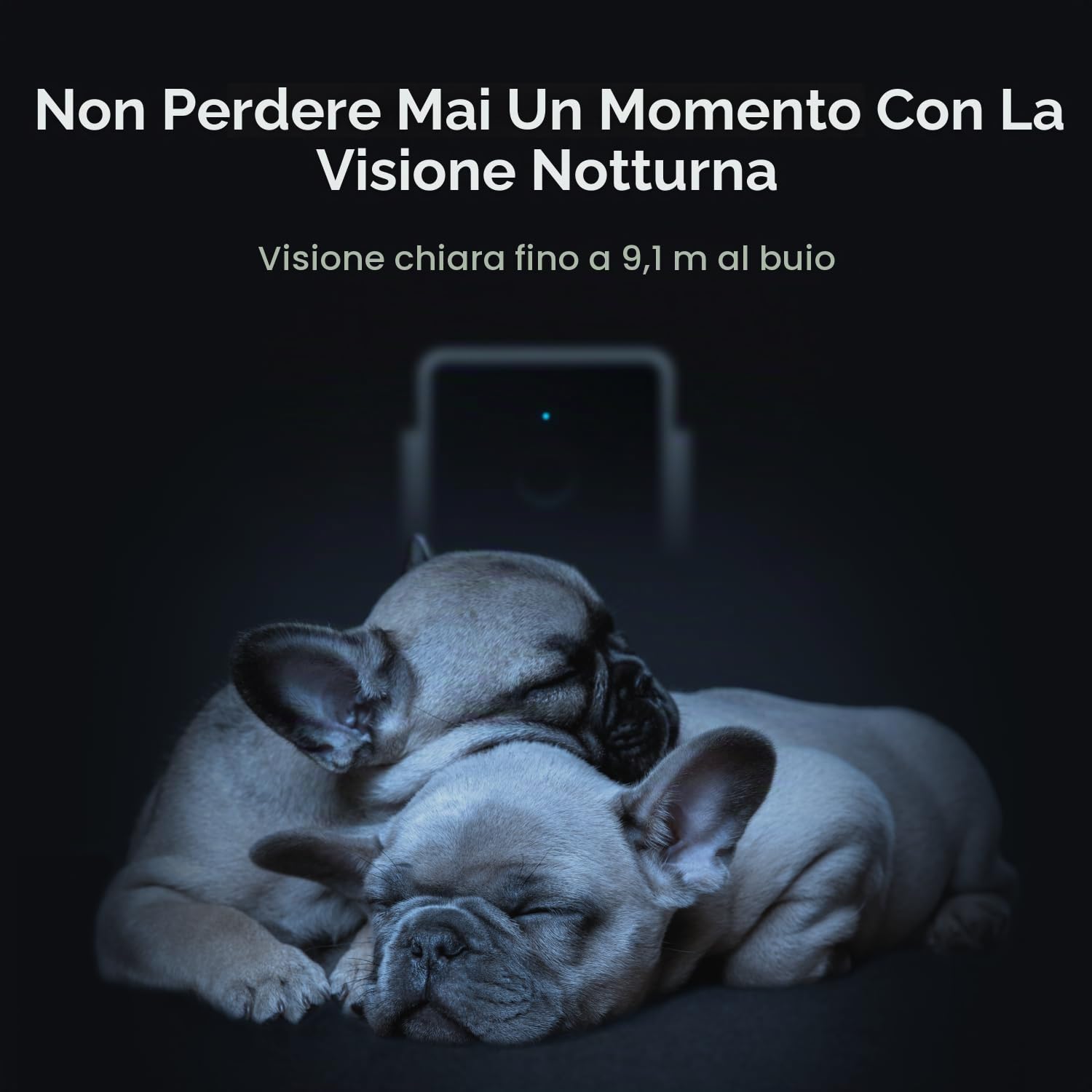 Petcube Cam – Telecamera di sicurezza Wi-Fi per animali domestici con app per telefono — immagine 6 di 11