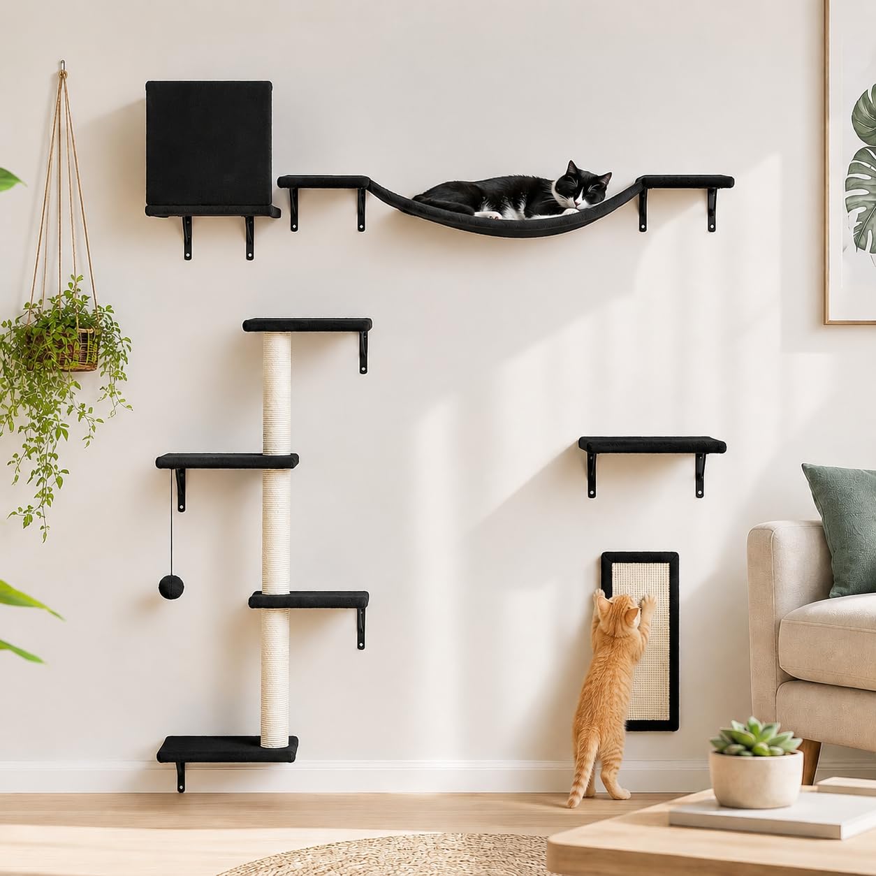 Photo 1 of Modern Wall-Mounted Cat Furniture - 5pcs Cat Wall Shelves, Wooden Climber Includes House, Bridge, Tree, Steps, and Scratcher (Black)