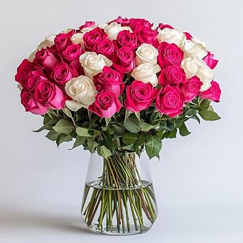 GlobalRose 50 Assorted Roses Bouquet - Responsibly Sourced Roses Fresh Flowers - Hand-Picked Flowers Fresh Bouquet for Mothers Day, Birthday & Special Occasions 2 Bunches of 25 Stems