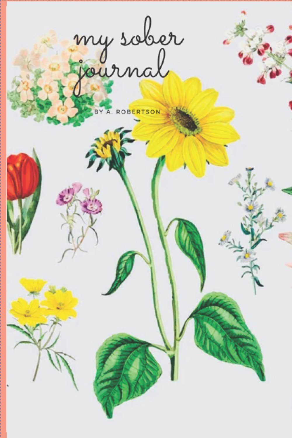 My Sober Journal