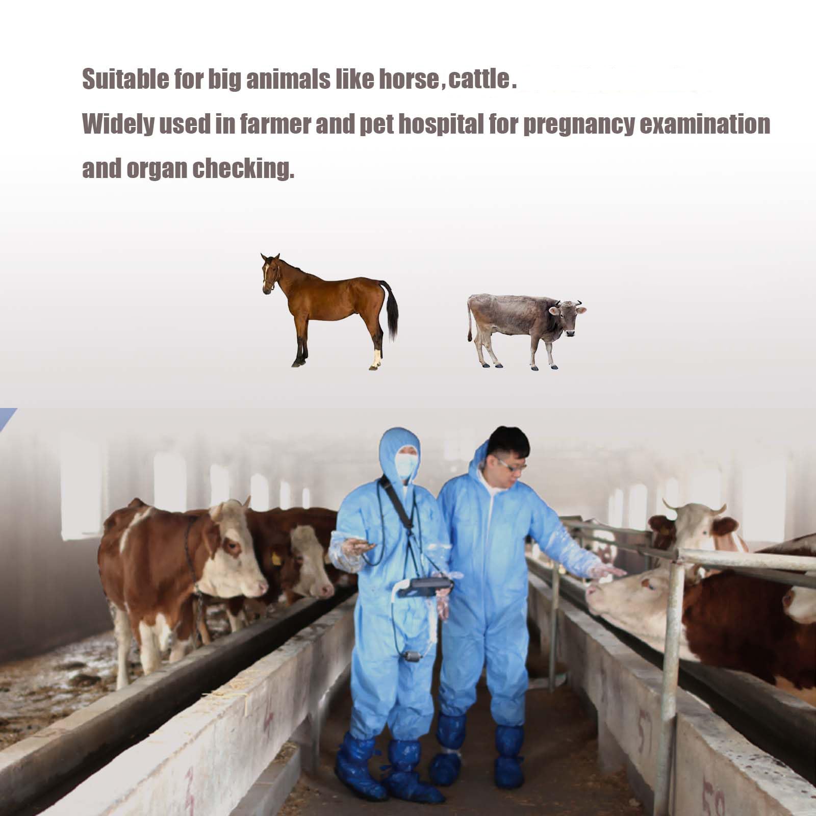 Échographe Vétérinaire Portable Avec Sonde 3,5 Mhz,Pour Porcs Et Ovins Echographie Appareil Grossesse Multifonction Ultrason B Portable Avec Affichage LED Pour Élevage (Sonde rectale)