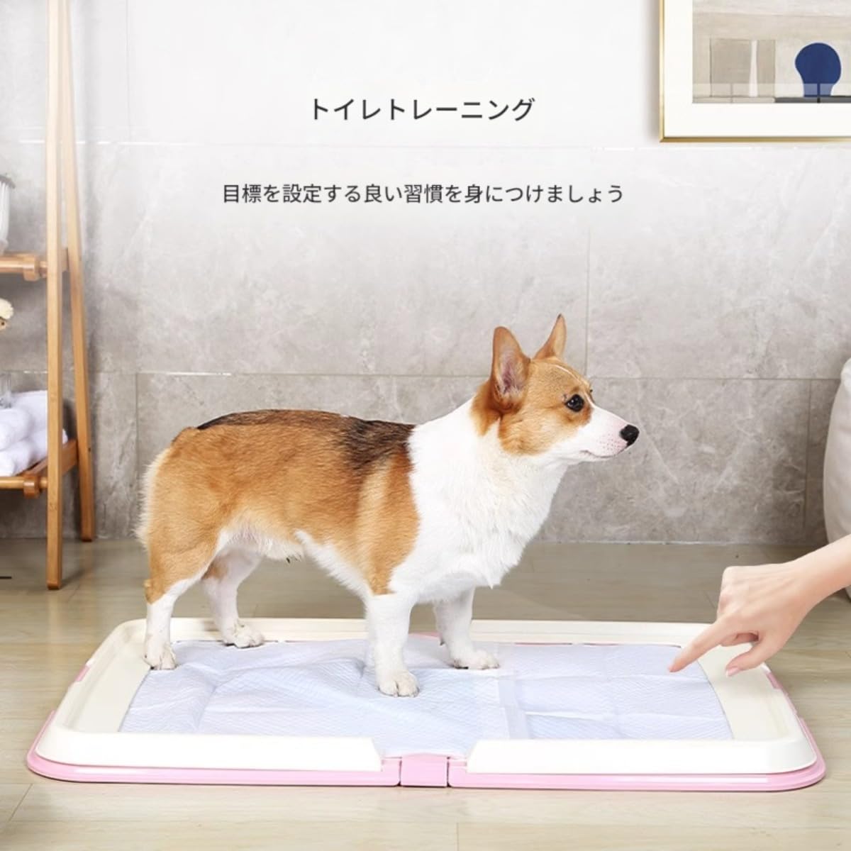 Amazon | Ghbunuz 犬 トイレ 折りたたみ式 トイレトレー ワイド 保護