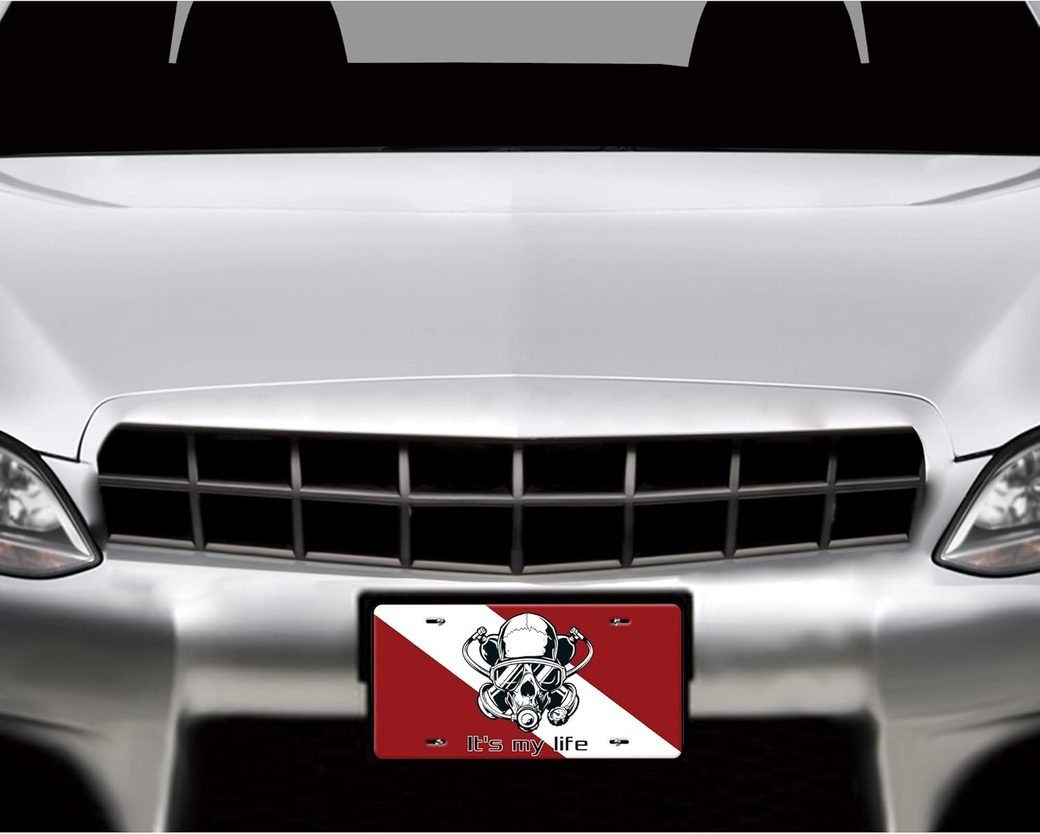 Diving Decorative Car Front License Plate Car Plate - Durable Aluminum Custom Car Plate, Universal Compatibility for Cars or Automobile, for Frinds and Family, Diver Skull #2, 12”H x 6”W