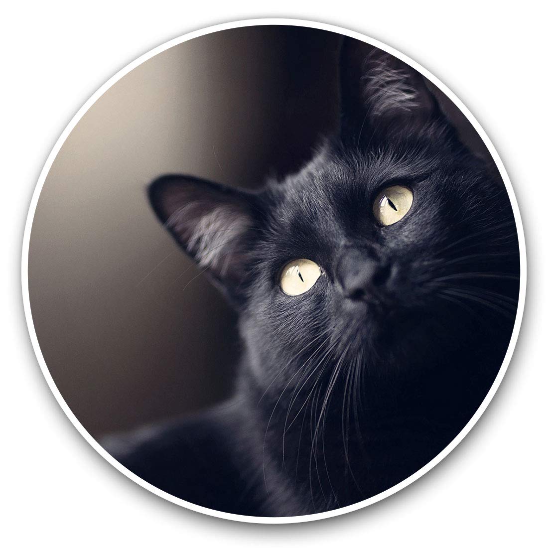 Vinyl Stickers (Set of 2) 10cm - Black Cat Kitten Decals for Laptops,Tablets,Luggage,Scrap Booking,Fridges, 2603