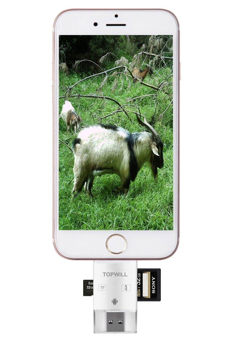 TOPWILL SD Micro SD Card Reader for Apple iOS and Android mobile phone, Trail Cam Viewer Plays Deer Hunting Game Camera Scouting Video & Photo Memory on iPad iPhone 5, 6, 7, 8, X - Plus Free Lightning