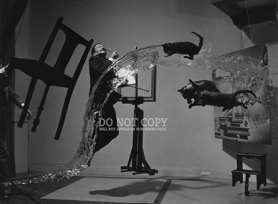 アートフレーム　ダリ 楽天市場】ポップアートフレーム Salvador Dali サルバドール