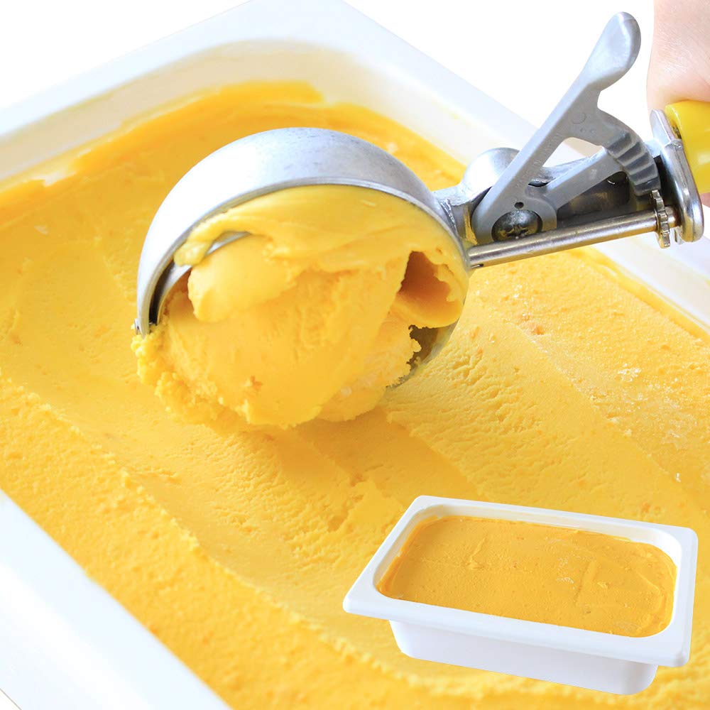 北国からの贈り物 アイスクリーム 業務用 かぼちゃ 北海道 くりーむ童話 手づくり アイス