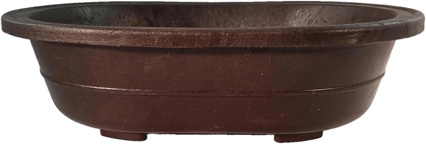 Aven's Serenity Garden Oval Mica Bonsai Pot Break Resistant Training Pot for Bonsai Specimens or Forests - 11 in Pot