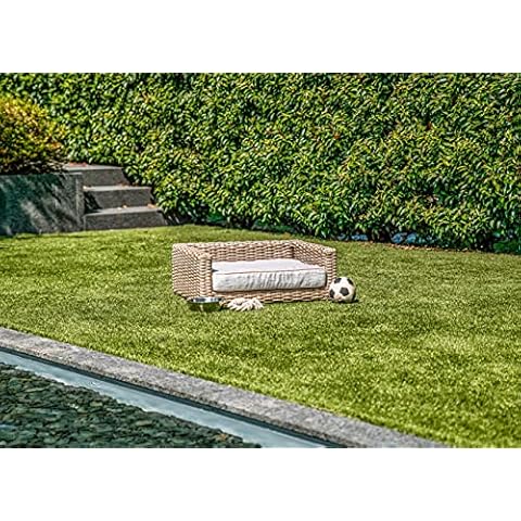 Greemotion Cama para Perros de Poli Ratán con Cojín de 100% Poliéster Cover