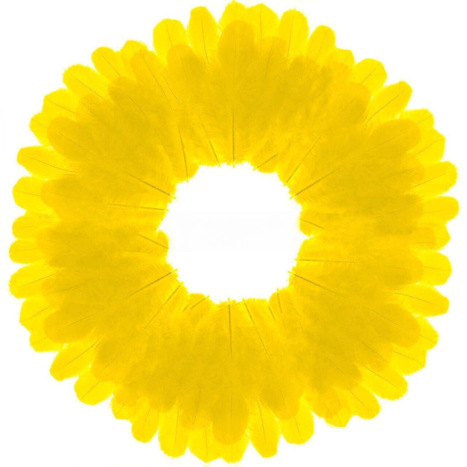 Plumes de coq jaunes fournitures attrape-rêves déco mariage et loisirs créatifs lot de 800