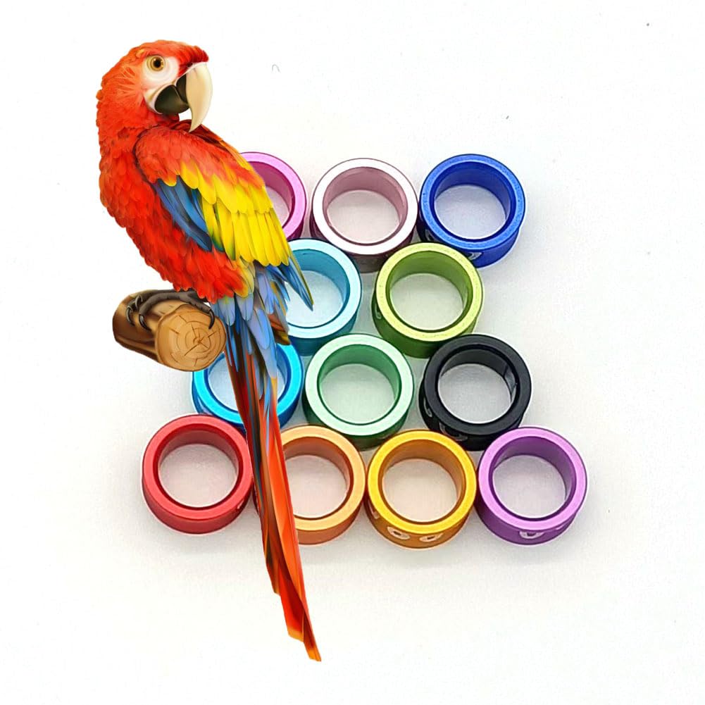 Anillos de Pata de Paloma de Aluminio Planos numerados Etiquetas de identificación de Paloma de Anillo Dividido(Mixed Colors8.0mm,200pc)
