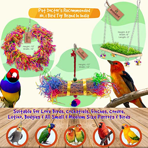 GREENBIRDS-TOYS-Pack-Of-3-Pcs-Include-Paper-Shredded-Foraging-Chew-Toy-Grass-Swing-Cage-Hanging-Accessories-Birds-Toys-Natural-Wood-Parrot-Toys-Cage-Accessories-Training-Aid-Perch-For-Bird-Parrot