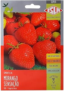 Semente de Morango Sensação - Embalagem: 50mg