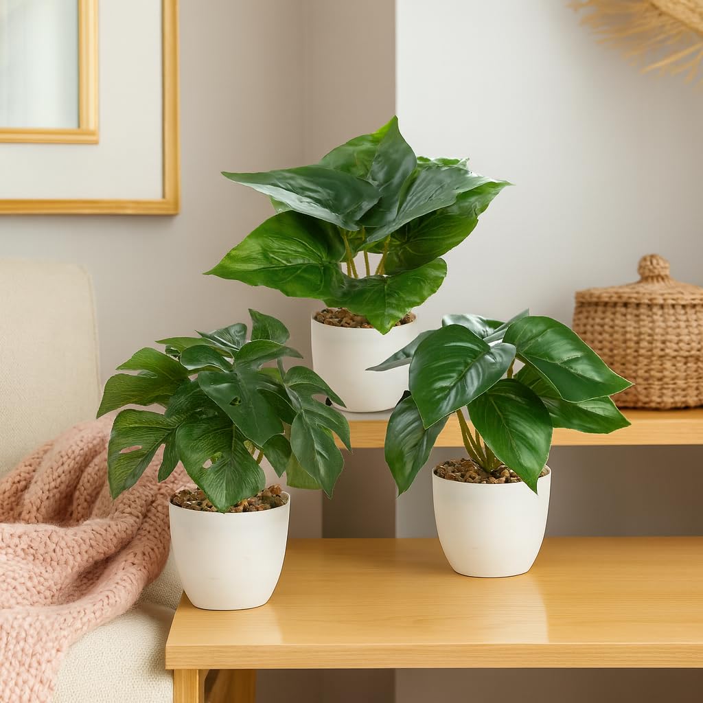 PASCH® Set di 3 piante artificiali come reali (18 cm) in vasi di ceramica lucida, piante artificiali in vaso, fiori artificiali in vaso