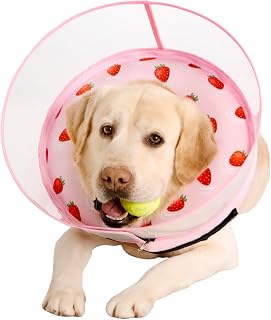 Inflatable Dog Cone Collar for Large Medium Small Dogs, Soft Dog Donut Collar Adjustable Recovery Cone for Pets After Surgery, Extra Enhanced Anti-Licking Guard Shield (Strawberry Print, Large)