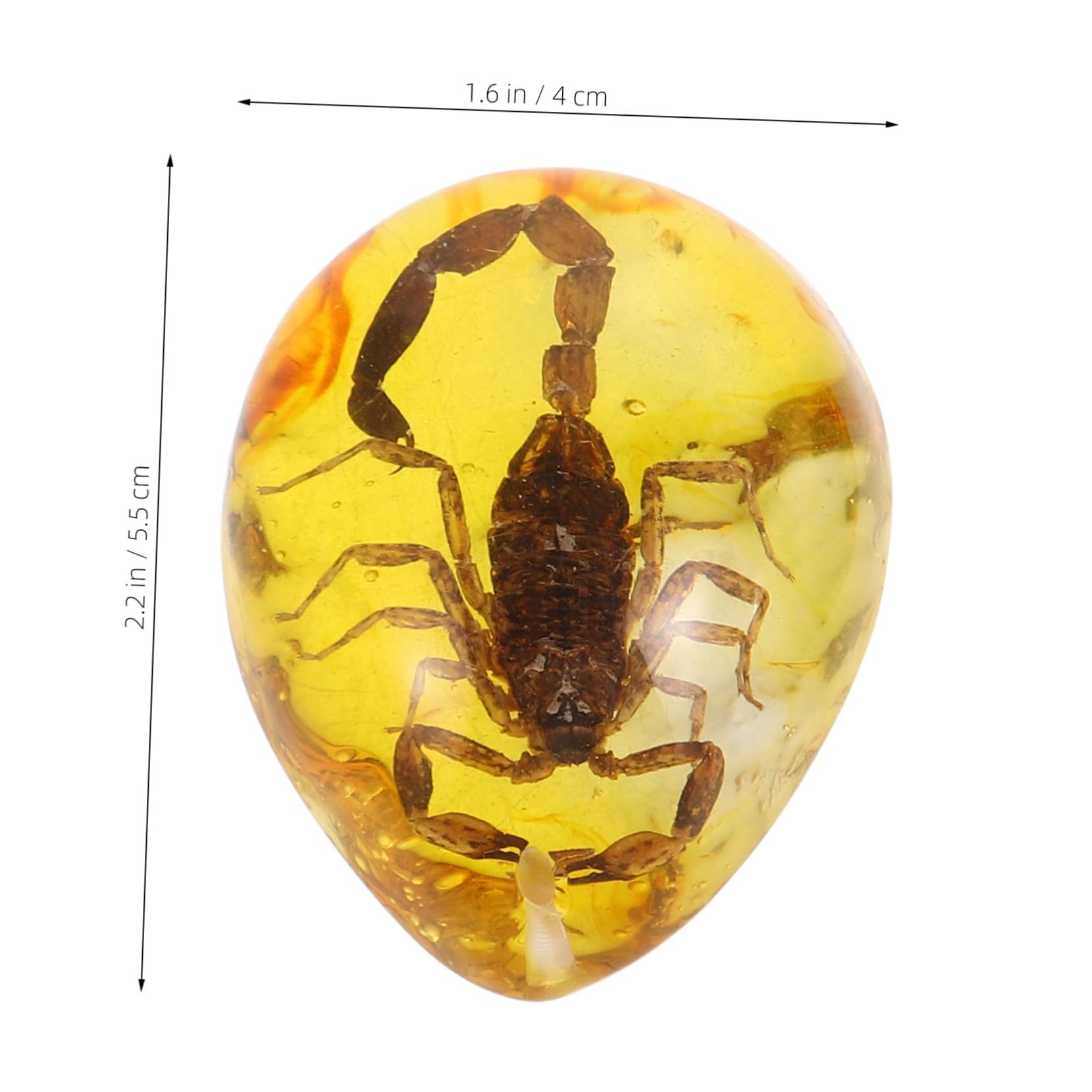 Abaodam 3pcs Amber Specimen Insect Amber Decor DIY Insect Amber Decorative Amber Crafts Insect Specimen Amber Insect Amber Pendant Insect Amber Ornament Amber Resin