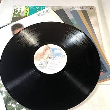 Amazon.co.jp: m428 LPレコードスカイパーク 河合奈保子 帯付