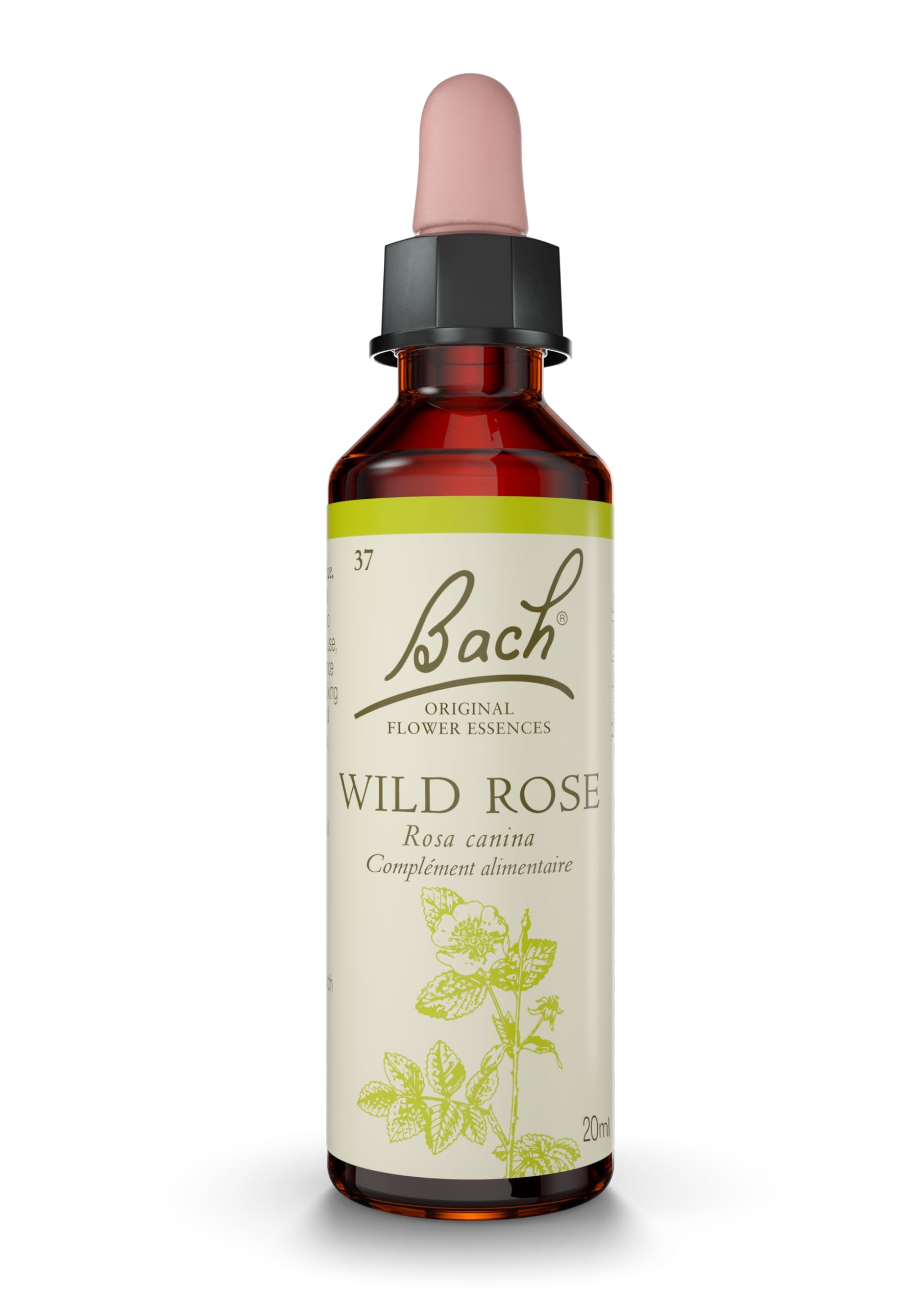 Fleurs de Bach Original, Wild Rose, No 37, pour plus d'ambition, aide à retrouver de l'intérêt. Elixir floral naturel pour le bien-​être émotionnel. Compte-​Gouttes 20ml, Vegan