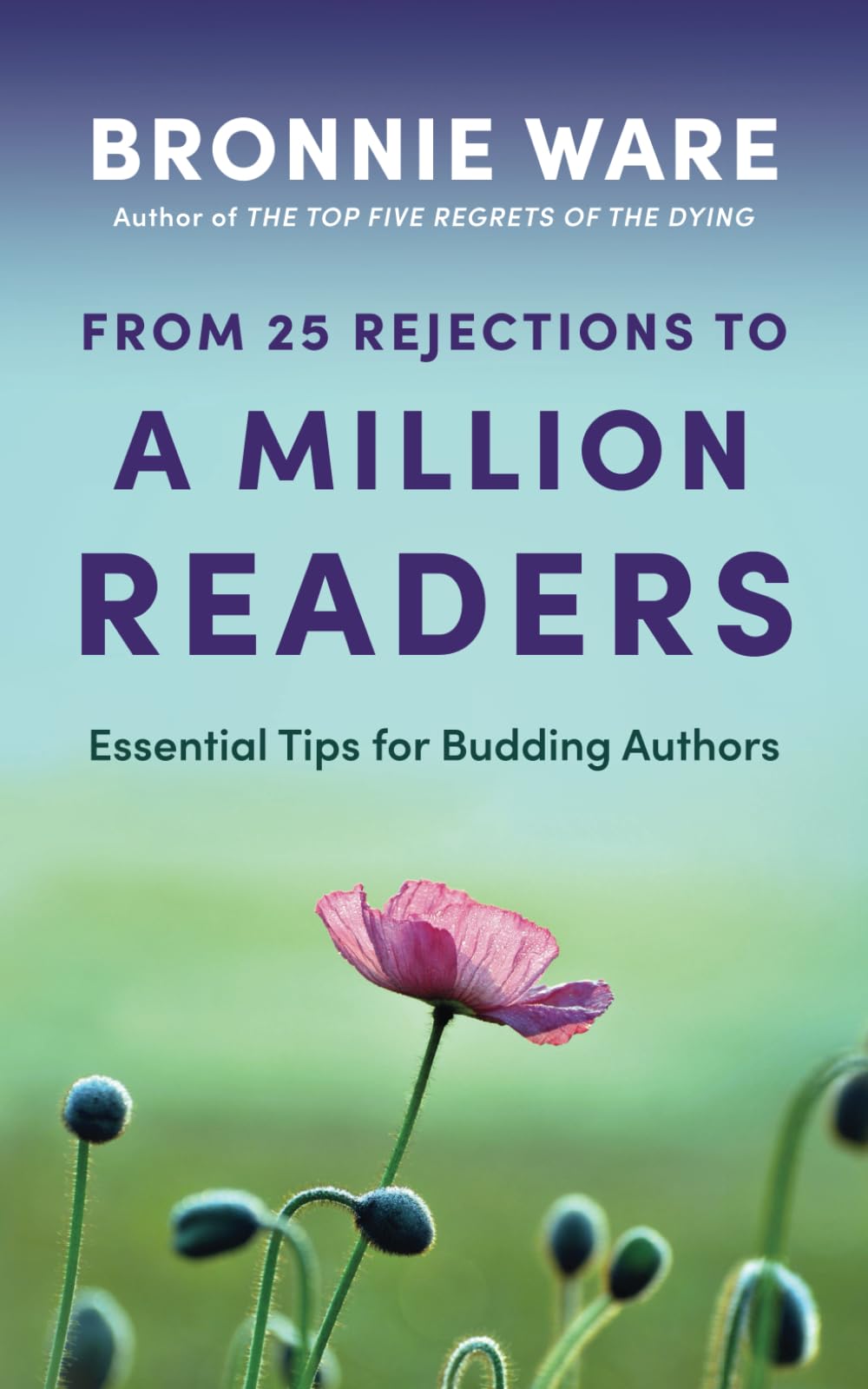 From 25 Rejections to a Million Readers: Essential Tips for Budding Authors