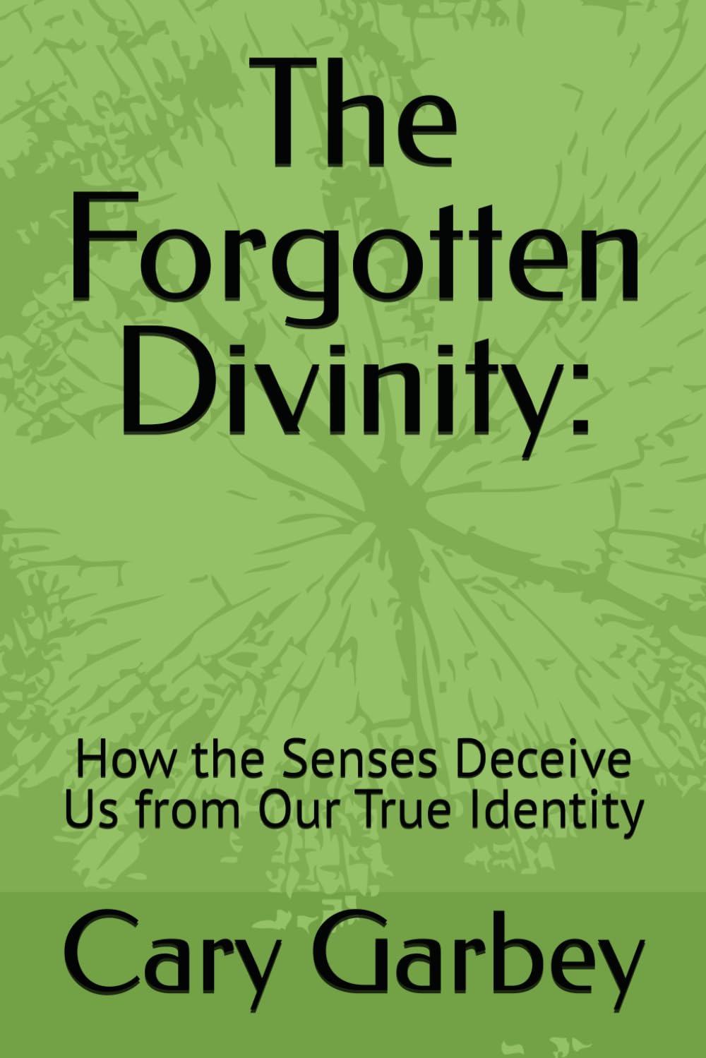 The Forgotten Divinity:: How the Senses Deceive Us from Our True Identity