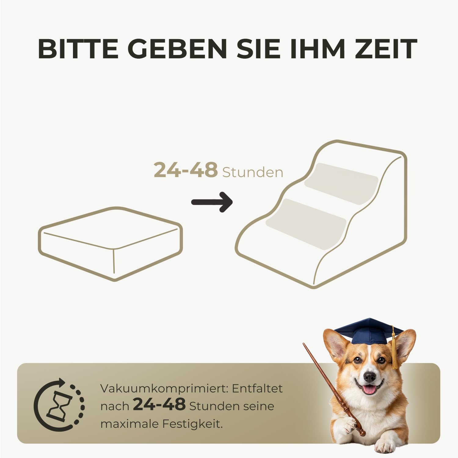 BEST JAJA Hundetreppe 3 Stufen mit Kanteneinfassung – formstabil und rutschfest, 40 cm hoch für Bett und Sofa, mit Seitentasche und Tragegriff – für kleine Hunde, Dackel und Katzen(Grau)