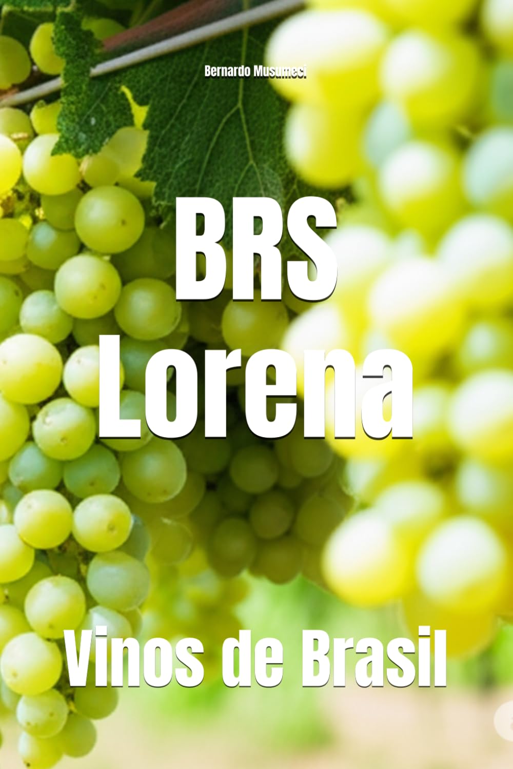BRS Lorena: Vinos de Brasil (Wines of the World: Brazil)