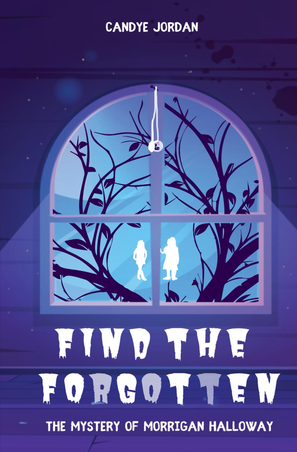 Find the Forgotten: The Mystery of Morrigan Halloway (Portal Spirit Mysteries)