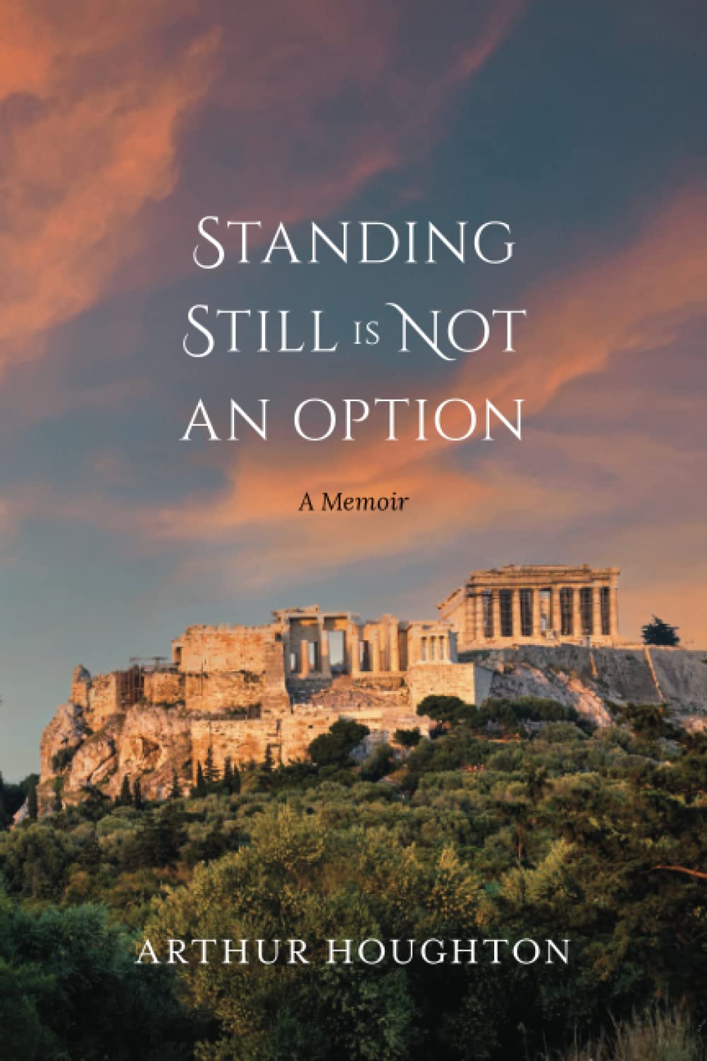 Standing Still is Not an Option: A Memoir