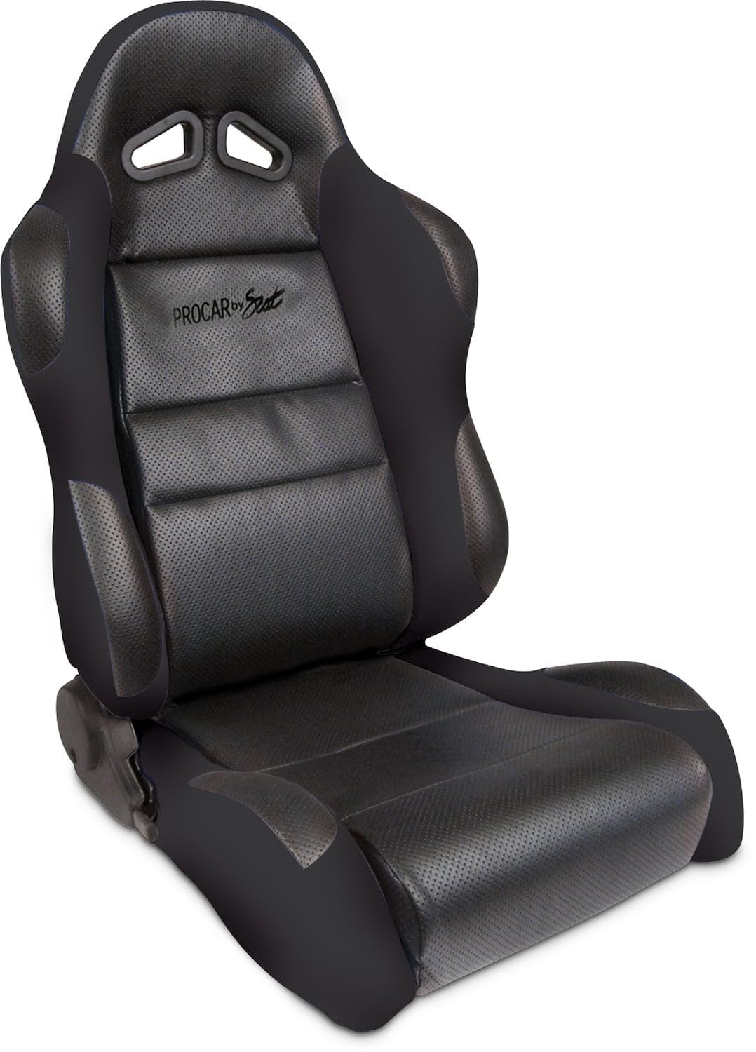 Amazon.com: ProCar by Scat 80-1605-61R Sportsman Black Vinyl