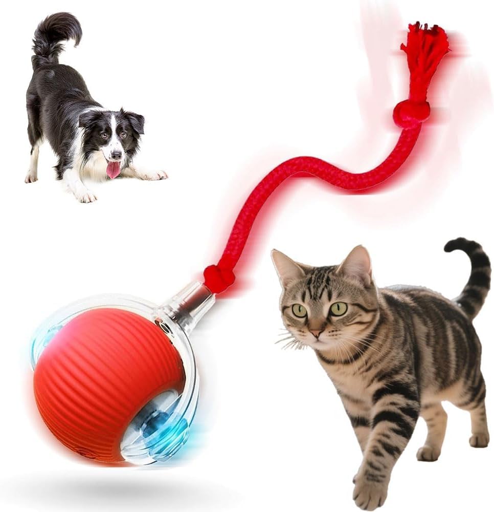 Interactive Cat Toys for Indoor Cats 2026 New Motion Activated Cat Balls with 360 Smart Automatic Rolling Moving