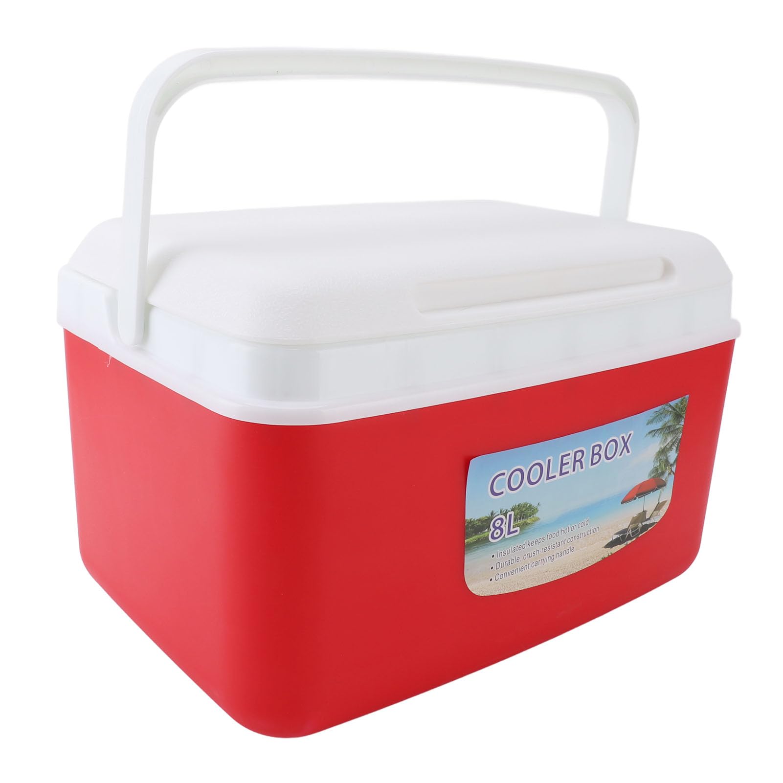 Denash Glacière Isolée Portative Efficace de 8L pour la Boisson de Plage de Pique-Nique de Camping, Matière Plastique Inodore