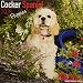 Cocker Spaniel Puppies Calendar - Dog Breed Calendars - 2017 - 2018 wall Calendars - 16 Month by Avonside
