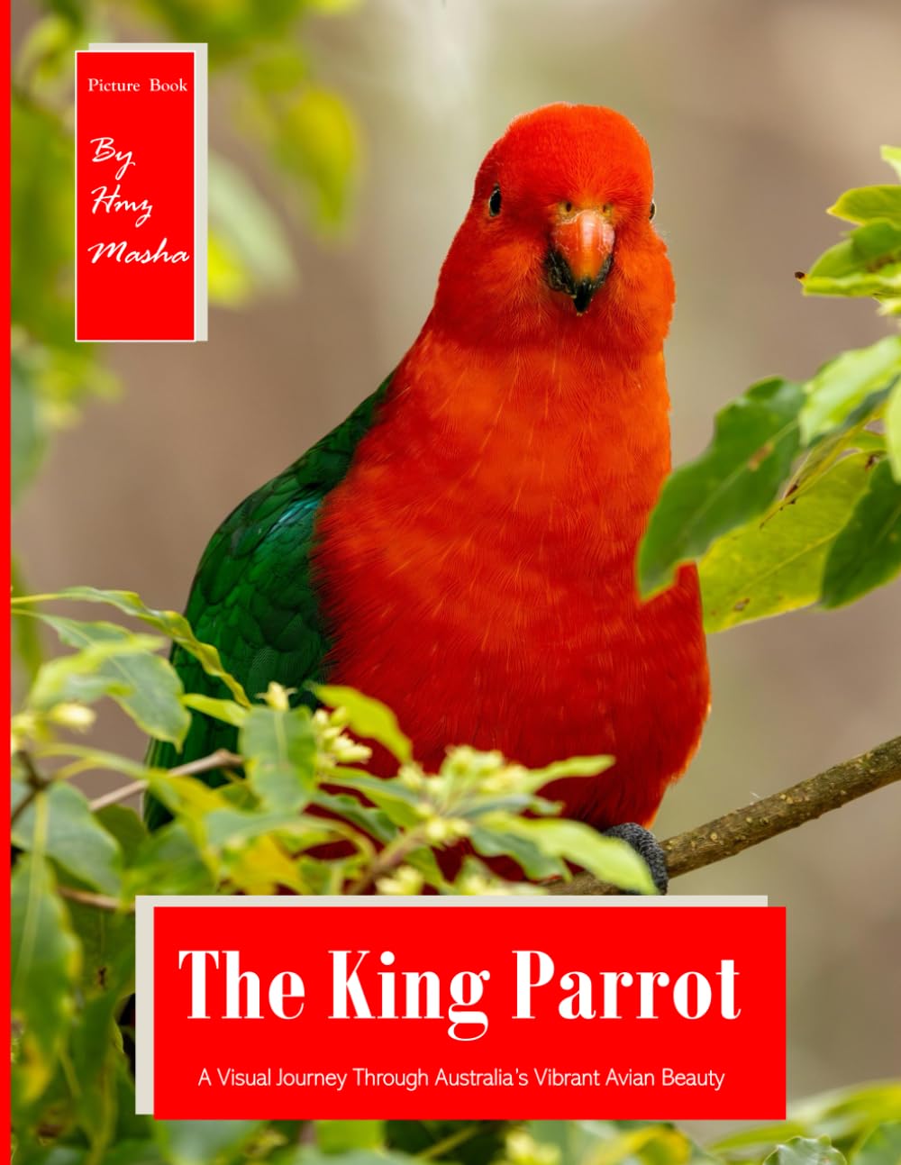 The King Parrot: A Visual Journey Through Australia's Vibrant Avian Beauty