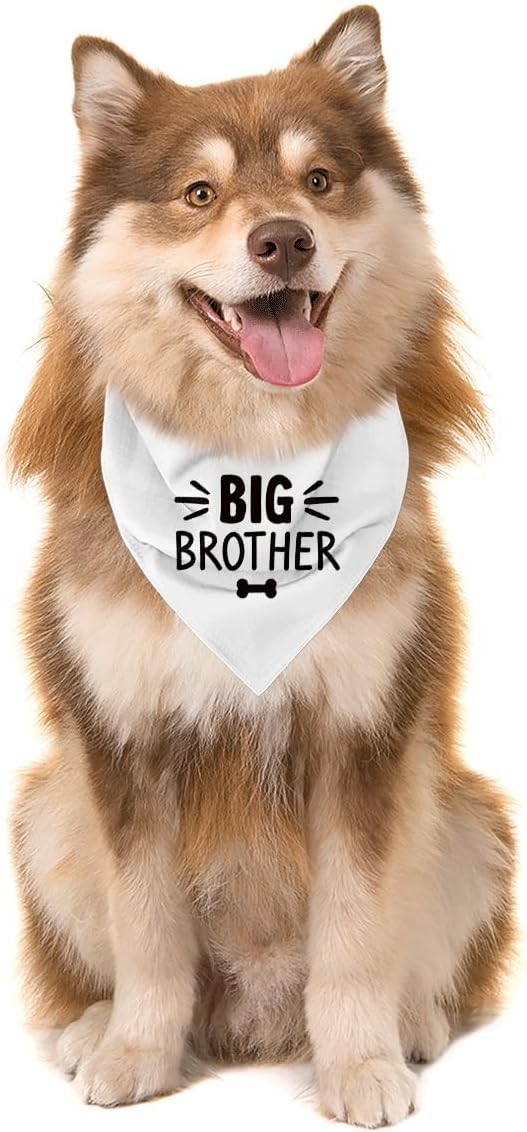 Big Brother Dog Bandana, White Pet Dog Scarf Accessories, Pregnancy Announcement Big Brother Baby Reveal, Pet Dogs Triangle Scarf, Dogs Bandana for Small Medium image 4
