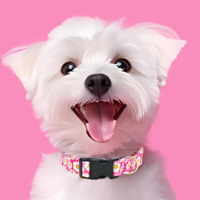 Collar para perro Tunkoo Pink Daisy S miniatura 4